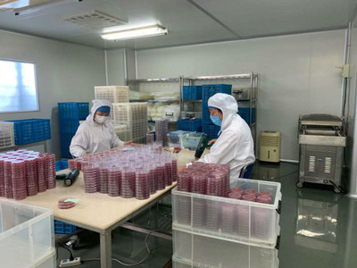 送政策、送口罩、帮复工 政府帮助虹口这家企业3天研制出病毒采样管