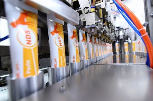 360 无死角全曝光 信元动药工厂大揭秘