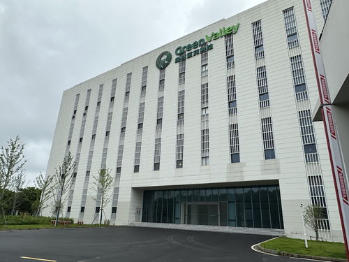 探访 这款国产 老年痴呆 知名药停产 投资12亿元的新厂也空置了