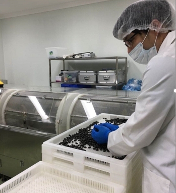 AWSBO等新一代澳洲母婴营养品牌进入中国,有望改变行业格局